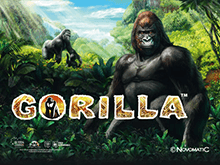 Игровой автомат Gorilla